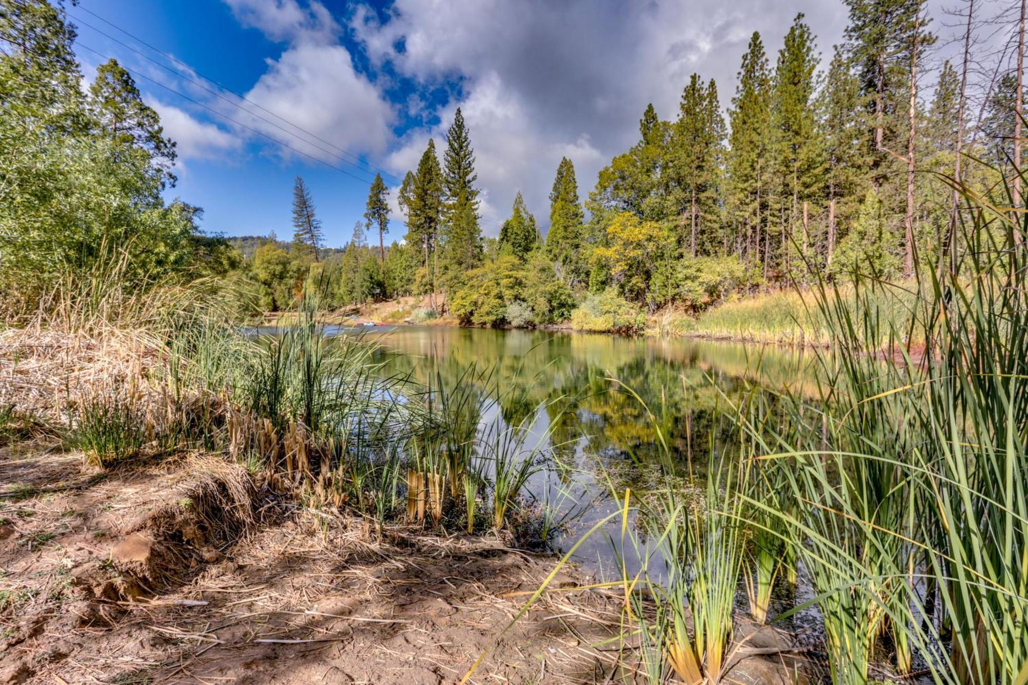 Pet-Friendly Escape With Game Room And Fire Pit! North Fork Zewnętrze zdjęcie